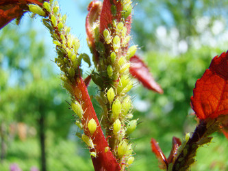 Similar image 12221243