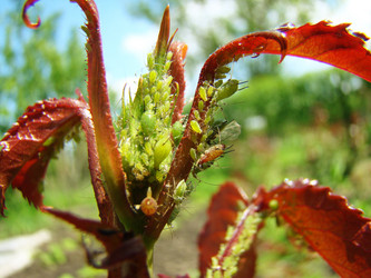 Similar image 12221244