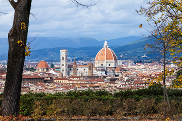 Similar image 12214276