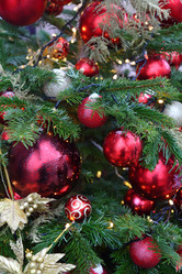 Similar image 12215862