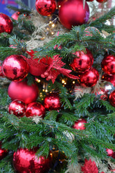 Similar image 12215864