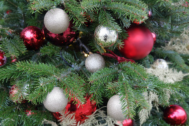 Similar image 12215865