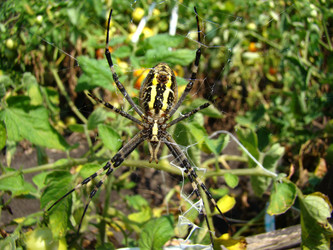 Similar image 12221246