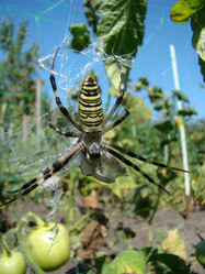 Similar image 12221247