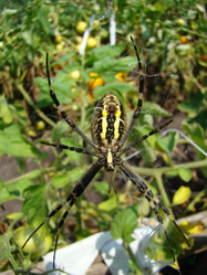 Similar image 12221248