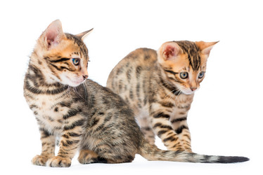 Similar image 12213390