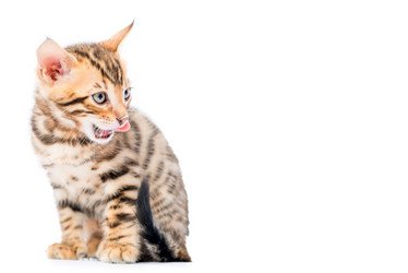 Similar image 12213392