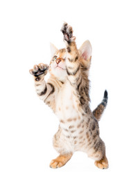 Similar image 12213395