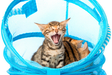 Similar image 12213423