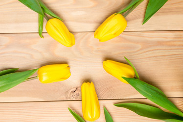 Similar image 12213450