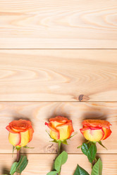 Similar image 12213452