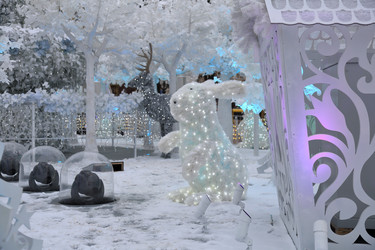 Similar image 12215902