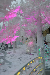 Similar image 12216023