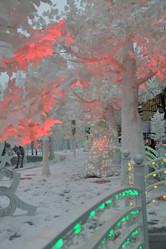 Similar image 12216024