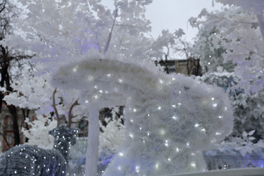 Similar image 12216026