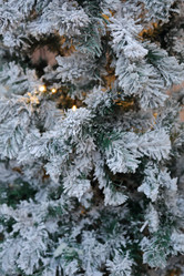 Similar image 12216028