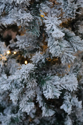 Similar image 12216029