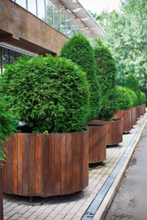 Similar image 12219597