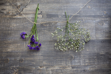 Similar image 12219601