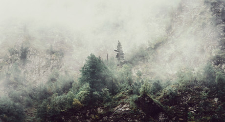 Similar image 12197104