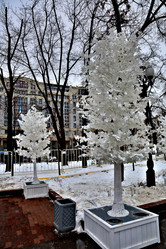 Similar image 12216034