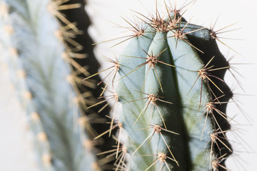 Similar image 12198981