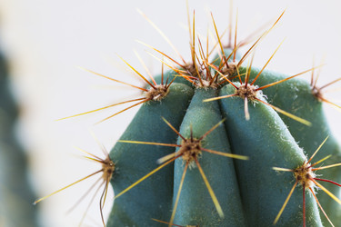 Similar image 12198983