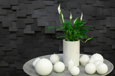 Similar image 12205978