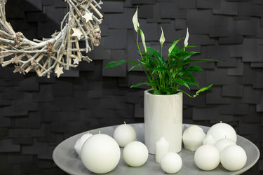 Similar image 12205997