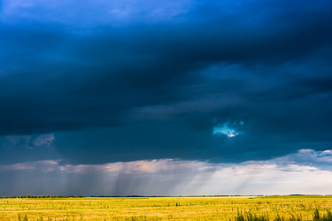 Similar image 12198788