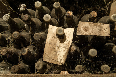 Similar image 12204983