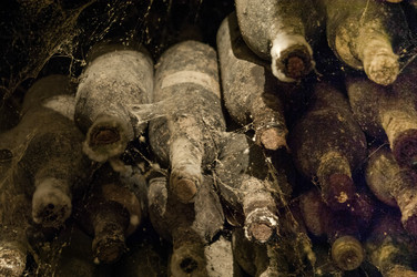 Similar image 12205025