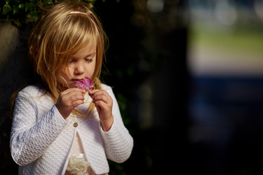 Similar image 12217370