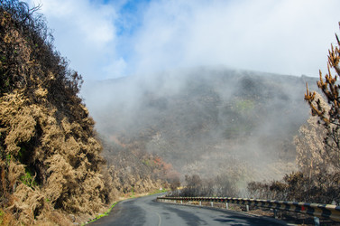 Similar image 12221581