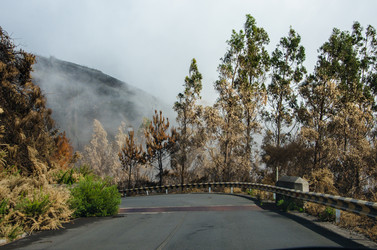 Similar image 12221582