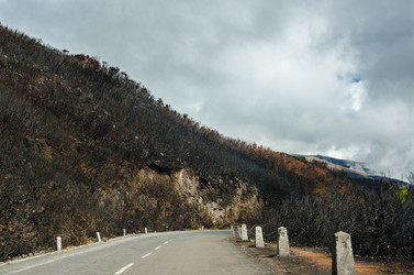 Similar image 12221586