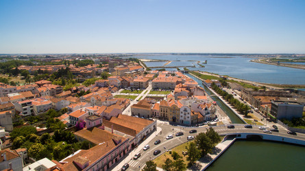 Similar image 12221559