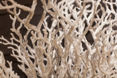 Similar image 12206086