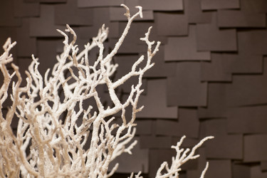 Similar image 12206087