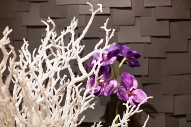 Similar image 12206105