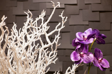 Similar image 12206106