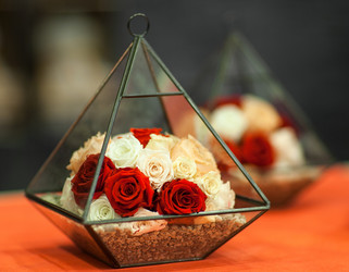 Similar image 12205833