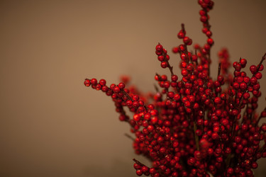 Similar image 12205834