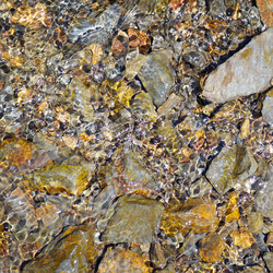 Similar image 12197467