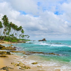 Similar image 12197469