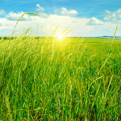 Similar image 12197470