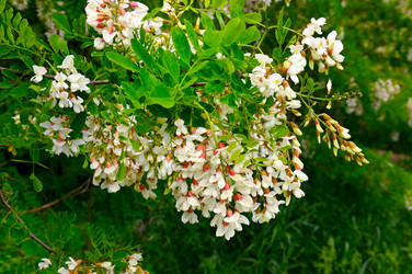 Similar image 12197471