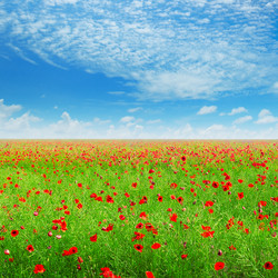 Similar image 12197472