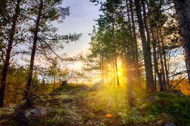 Similar image 12210953