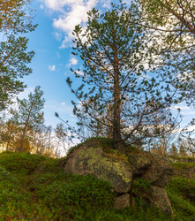 Similar image 12210975